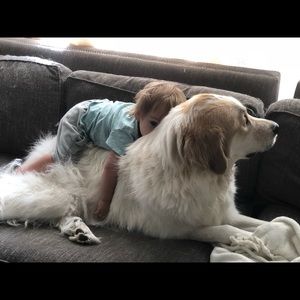 Meet your Posher, Maxie